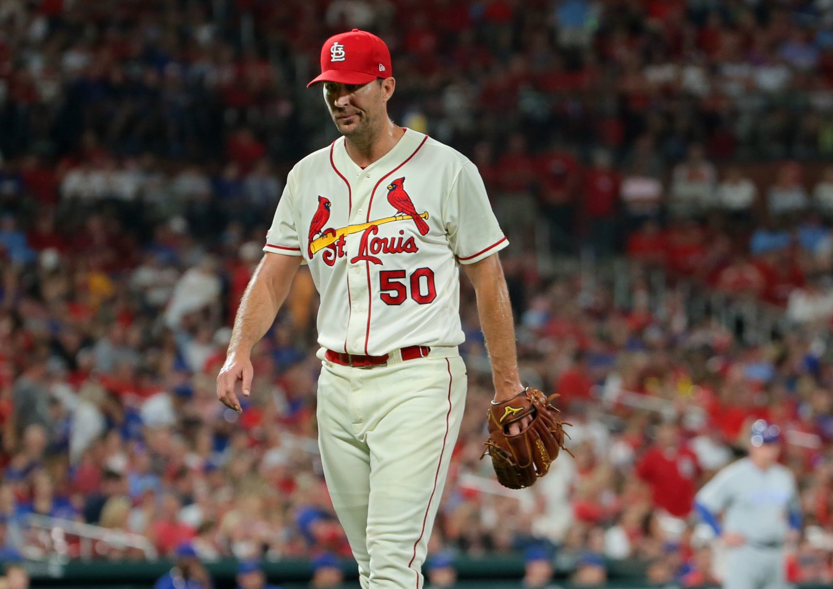 Chicago Cubs vs St. Louis Cardinals